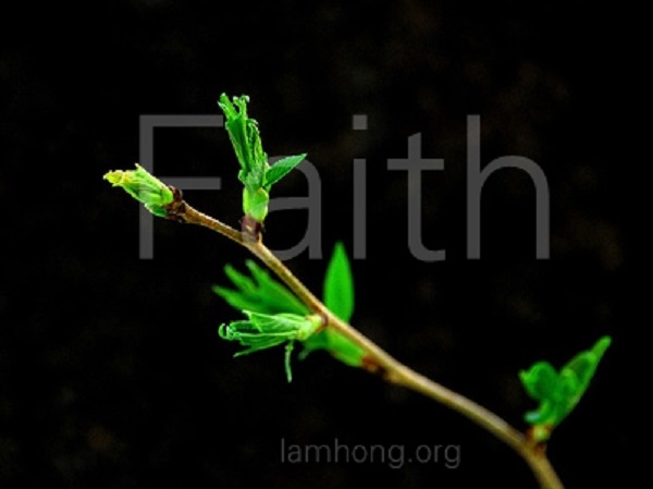 Một cân nặng của vĩnh cửu