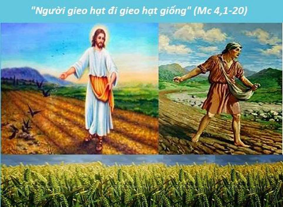 Suy niệm Tin Mừng Thứ Bảy Tuần XXIV Mùa Thường Niên