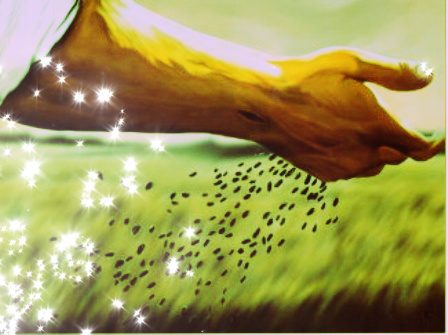 Thứ bẩy tuần XXXII thường niên