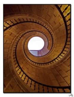 Lương tâm thời @