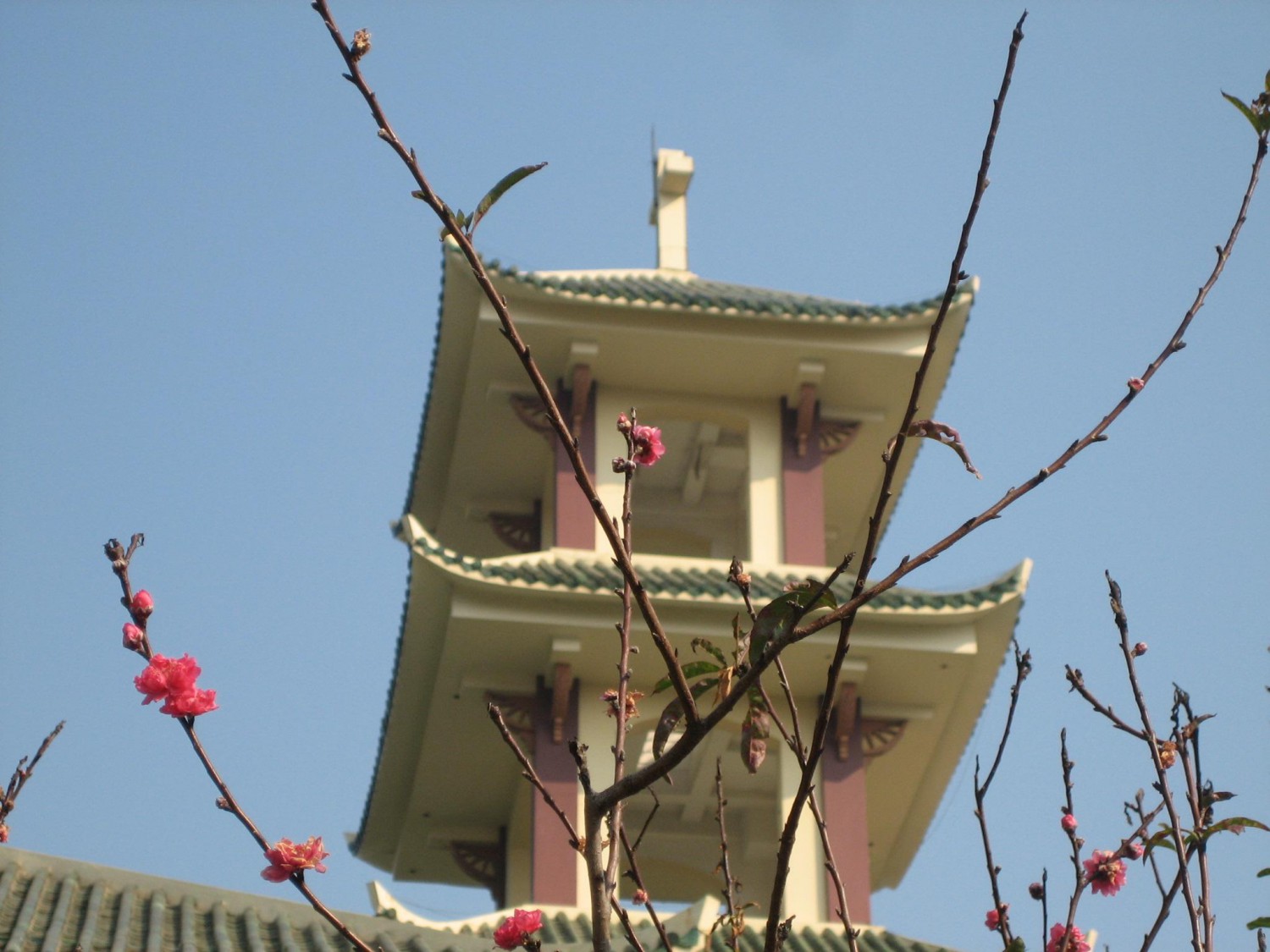 Chúa Nhật Lễ Khánh Nhật Truyền Giáo