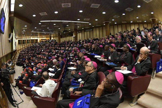 Sinh hoạt Thượng HĐGM thế giới về giới trẻ (4)