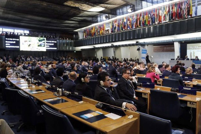 Sứ điệp Đức Thánh Cha Phanxicô nhân ngày Lương Thực thế giới