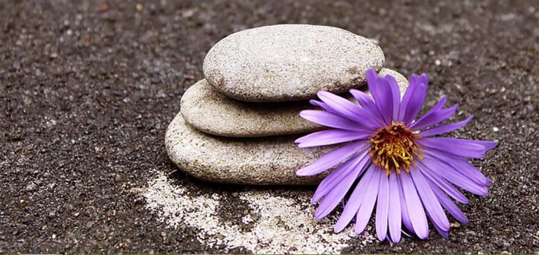 Chuyện những đóa Hoa