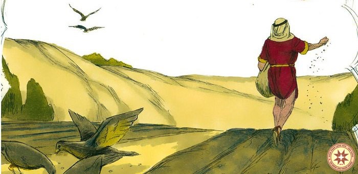 Thứ Sáu Tuần 16 Thường niên