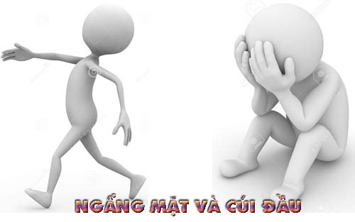 Cúi đầu và ngước đầu