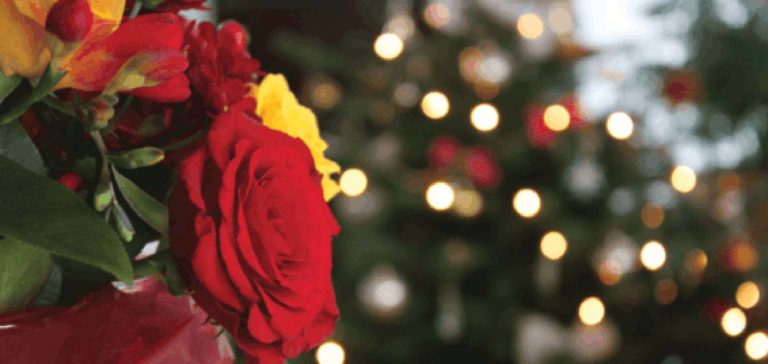 Cơ hội quanh năm