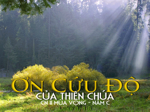 Chúa Nhật IV Mùa Vọng - Năm A