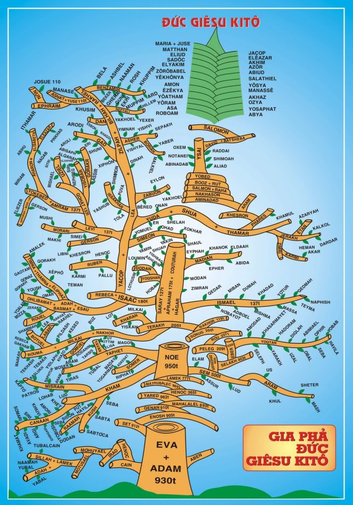 Thiên Chúa đi đến cùng trong kế hoạch yêu thương - Ngày 17/12