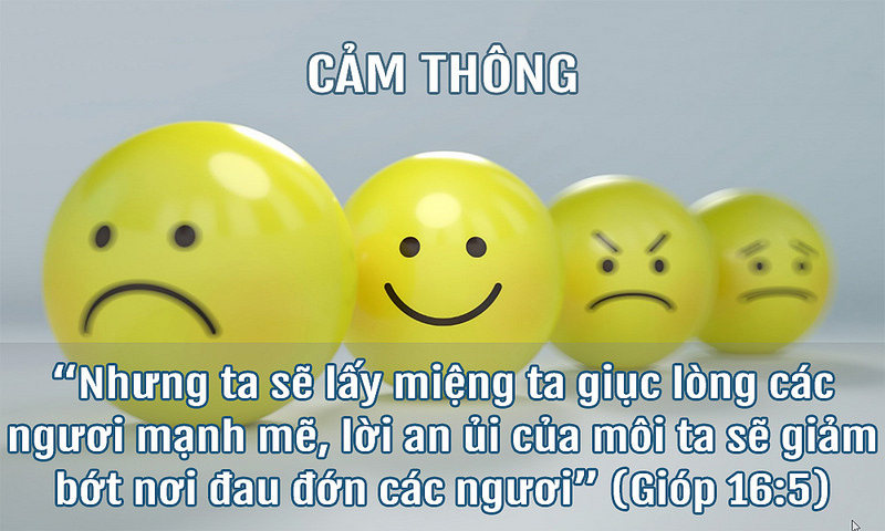 Vượt trên chỉ trích và oán giận – Lời mời gọi cảm thông sâu sắc hơn