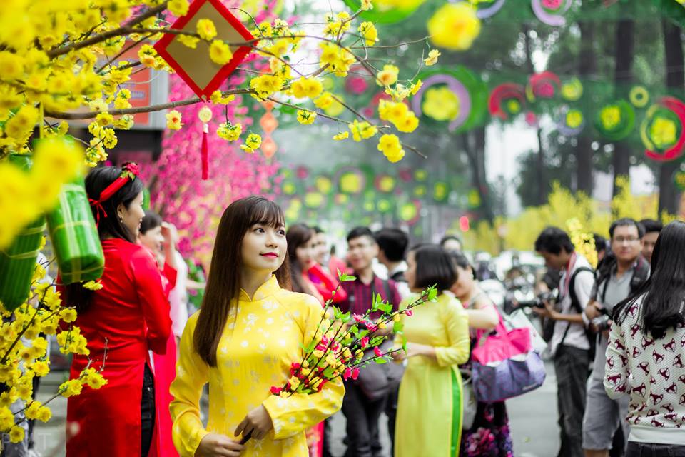 Xuân về trong an bình