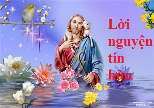 Lời Nguyện Tín Hữu 3 Ngày Tết