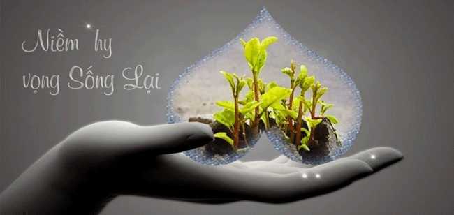 Nghệ Thuật Của Niềm Hy Vọng