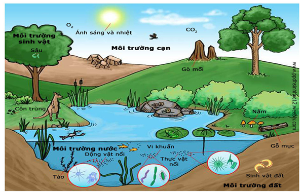 Xin đừng làm bẩn “môi trường” sống