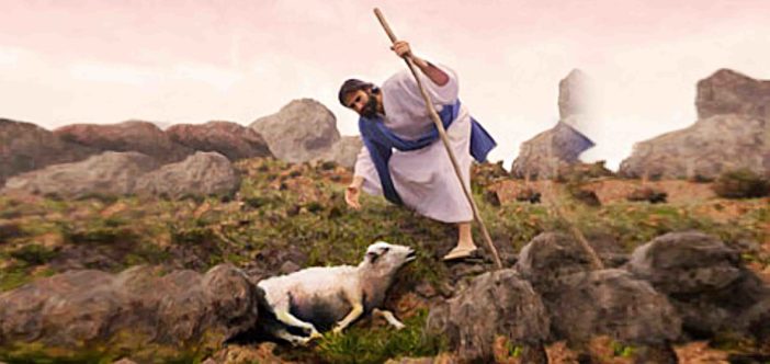 Con Đường của Lòng Thương Xót