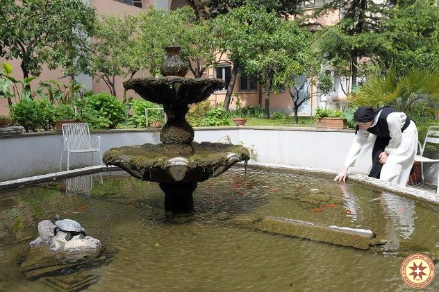 Đằng sau tấm lưới, nữ tính của tôi tạo nên sự sống