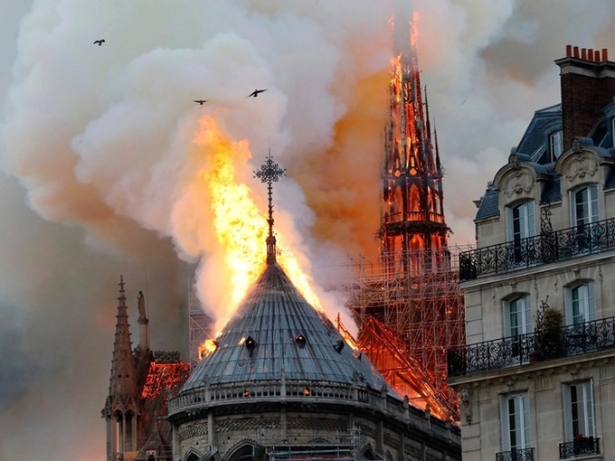 Các chủ rừng tặng hàng ngàn cây sồi trăm năm tuổi cho Nhà Thờ Đức Bà Paris