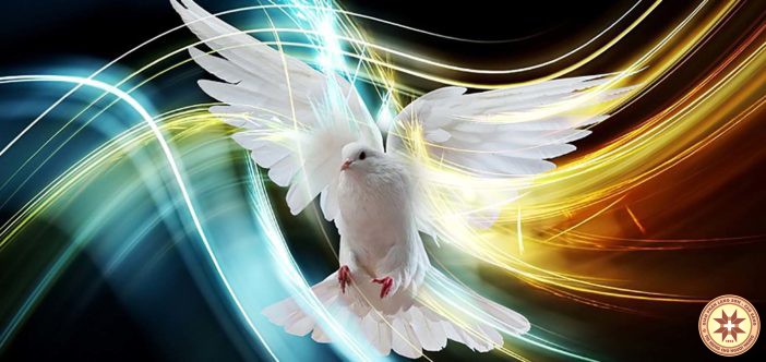 Thánh Thần phán bảo …- Suy niệm ngày 15.05.2019