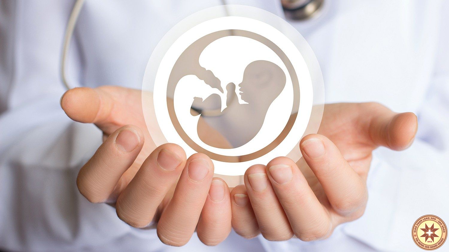 Hội nghị quốc tế tại Vatican về bảo vệ sự sống trẻ thơ