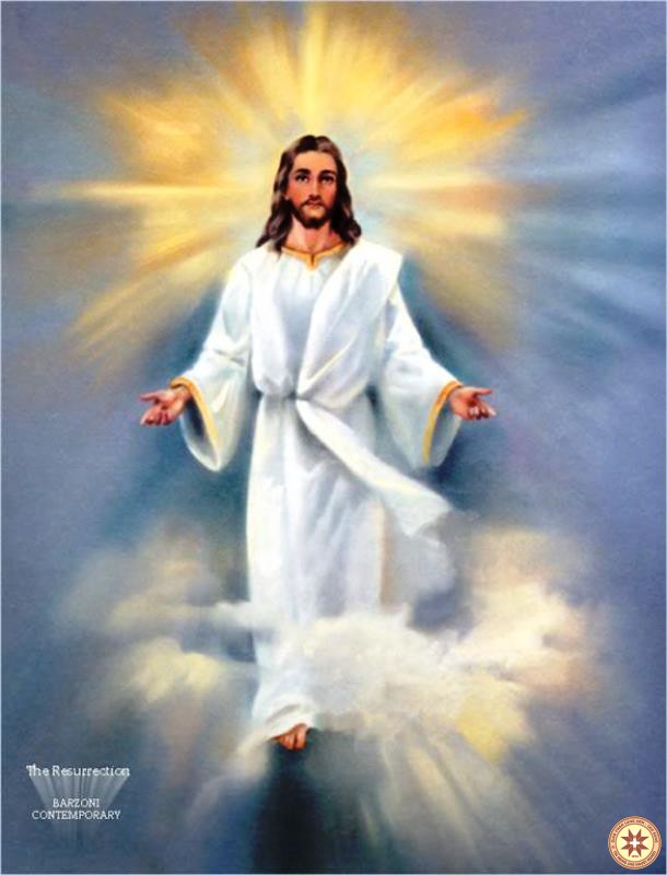 Đức Ki-tô và Lề Luật – Suy niệm ngày 12.06.2019