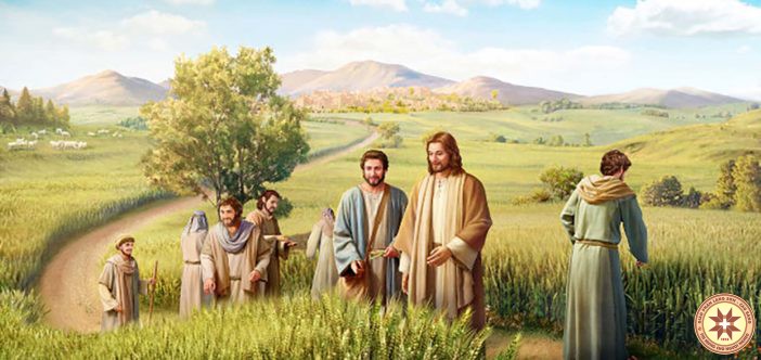 Con Người làm chủ ngày sa-bát – Suy niệm ngày 19.7.2019