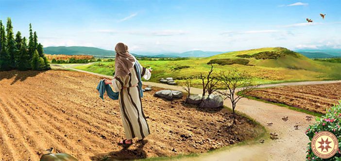 “Có những hạt rơi nhằm đất tốt”- Suy niệm Thứ Tư ngày 24.7.2019