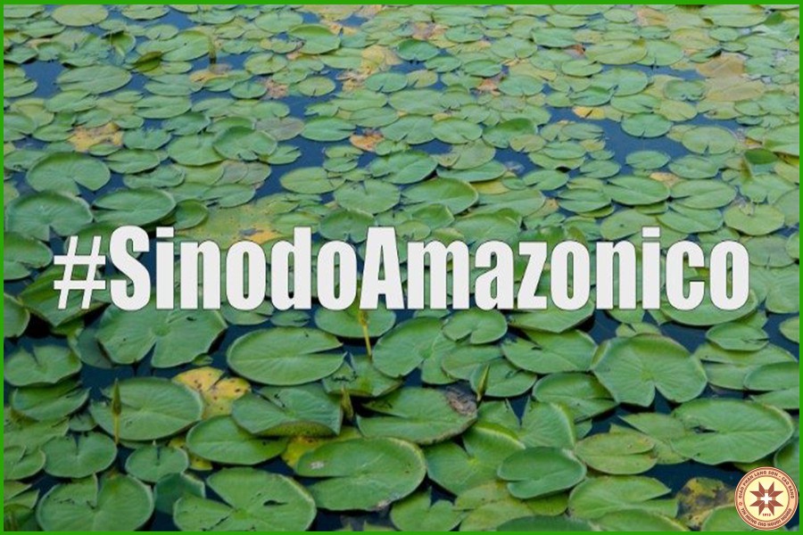 Công bố tài liệu làm việc của Thượng HĐGM Amazzonia