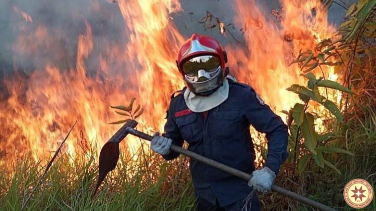 Các giám mục Châu Mỹ Latinh cảnh báo: "Nếu rừng Amazon bị hủy diệt thì thế giới cũng bị hủy diệt!"