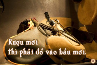 Suy niệm Tin Mừng thứ Sáu tuần XXII Thường Niên năm Lẻ