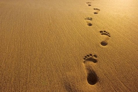 Người trẻ và việc phân định: ơn gọi độc thân thánh hiến hay ơn gọi hôn nhân