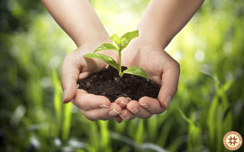 Caritas Việt Nam: Hãy là người bảo vệ mẹ đất