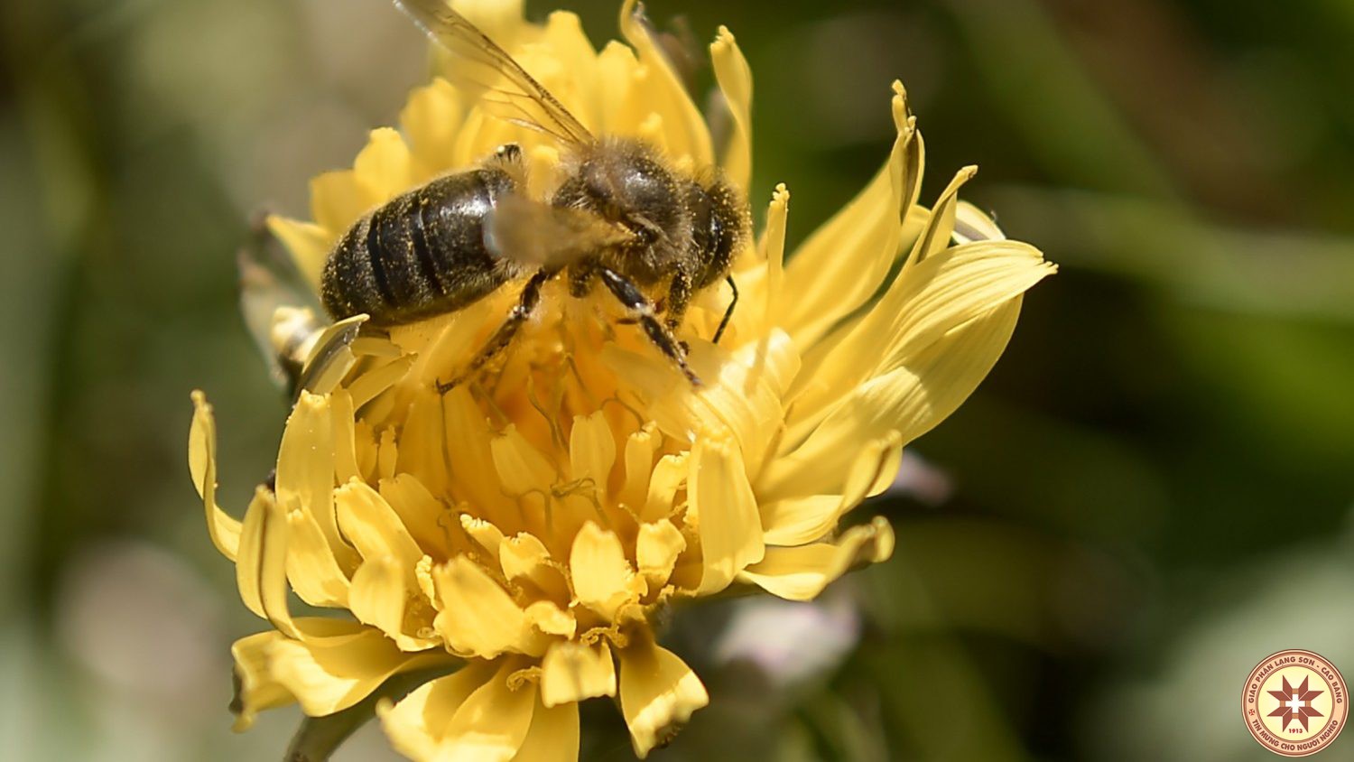 [Vui bước Tin Mừng] Sức mạnh của lời cầu nguyện