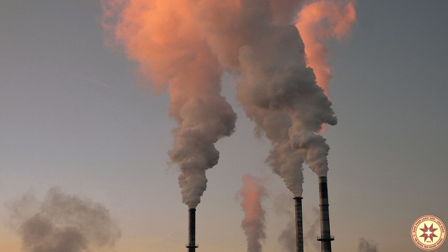 Các Giám mục Hàn Quốc: Phải bảo vệ môi trường trong khi khôi phục kinh tế