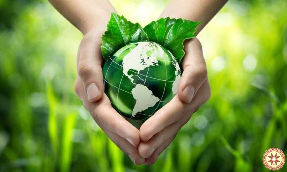 Đức Thánh Cha Phanxicô: Không thể im lặng khi trái đất bị cướp phá