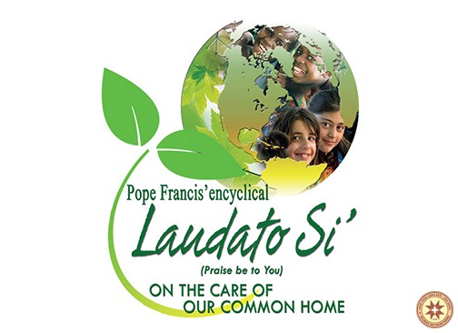 Caritas Việt Nam: Phóng sự nhìn lại 5 năm thông điệp Laudato Si'