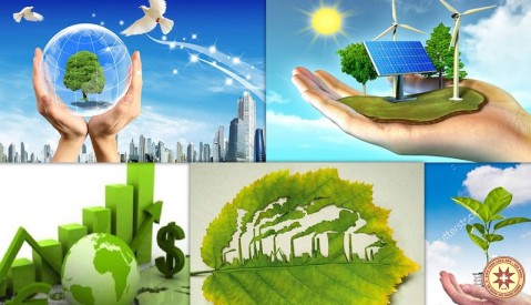 Tôn giáo trong việc giải quyết vấn đề môi trường sinh thái