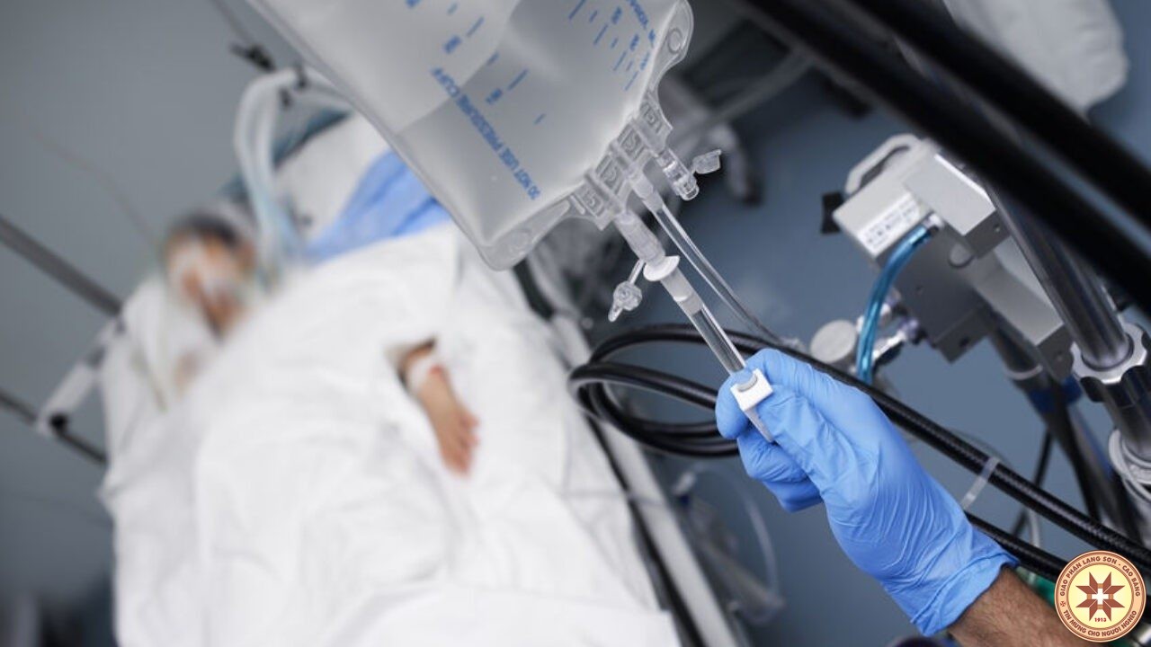 “An tử luôn là tội ác chống lại sự sống. Không thể chữa được không có nghĩa là chấm dứt chăm sóc”