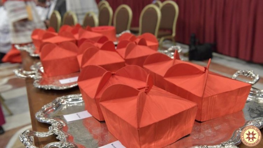 Chuẩn bị Công nghị Hồng y thời đại dịch