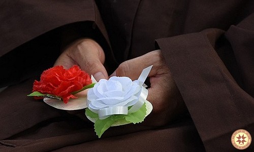 Bông hồng cho Mẹ Cha