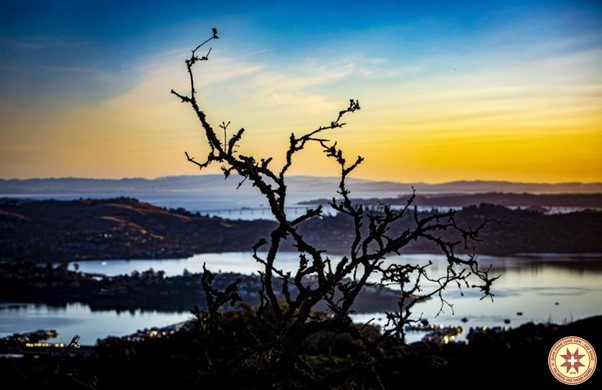 Phong trào môi trường Công giáo áp dụng tên mới nhằm thúc đẩy hành động