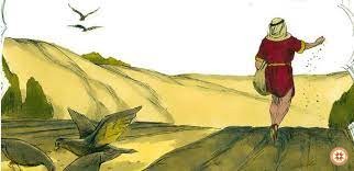 Thứ sáu tuần XVI thường niên