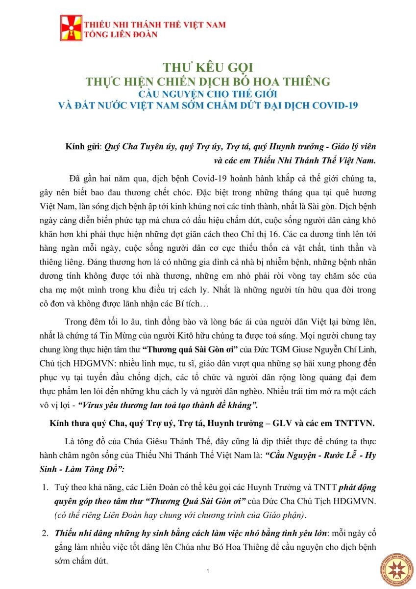 thieu nhi thanh the viet nam thu1