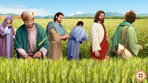 Thứ sáu tuần XV thường niên