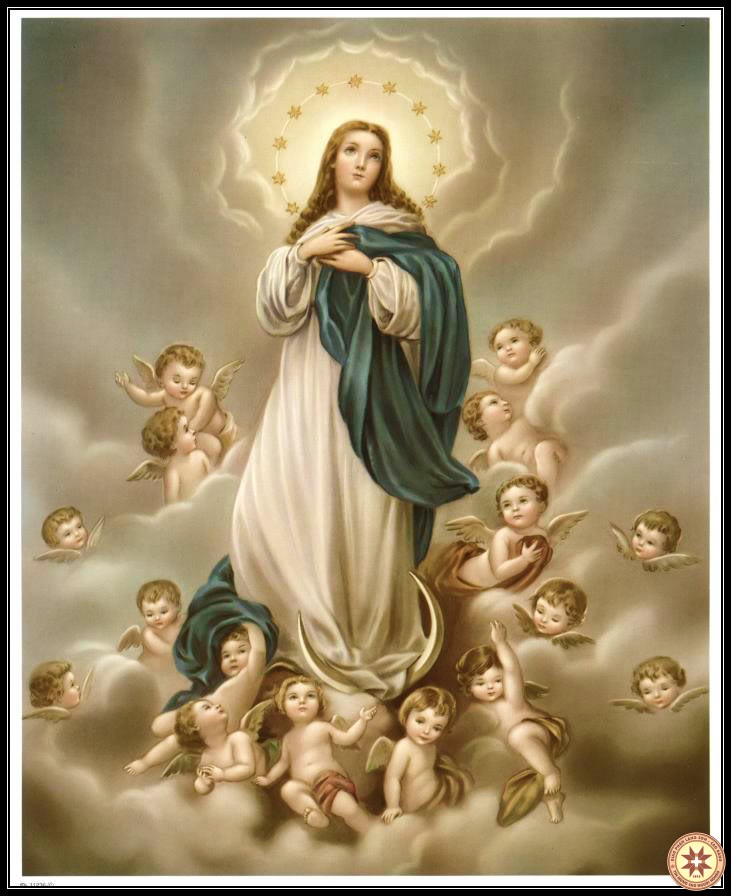 Thông báo về việc thêm các lời cầu mới vào Kinh cầu Đức Bà