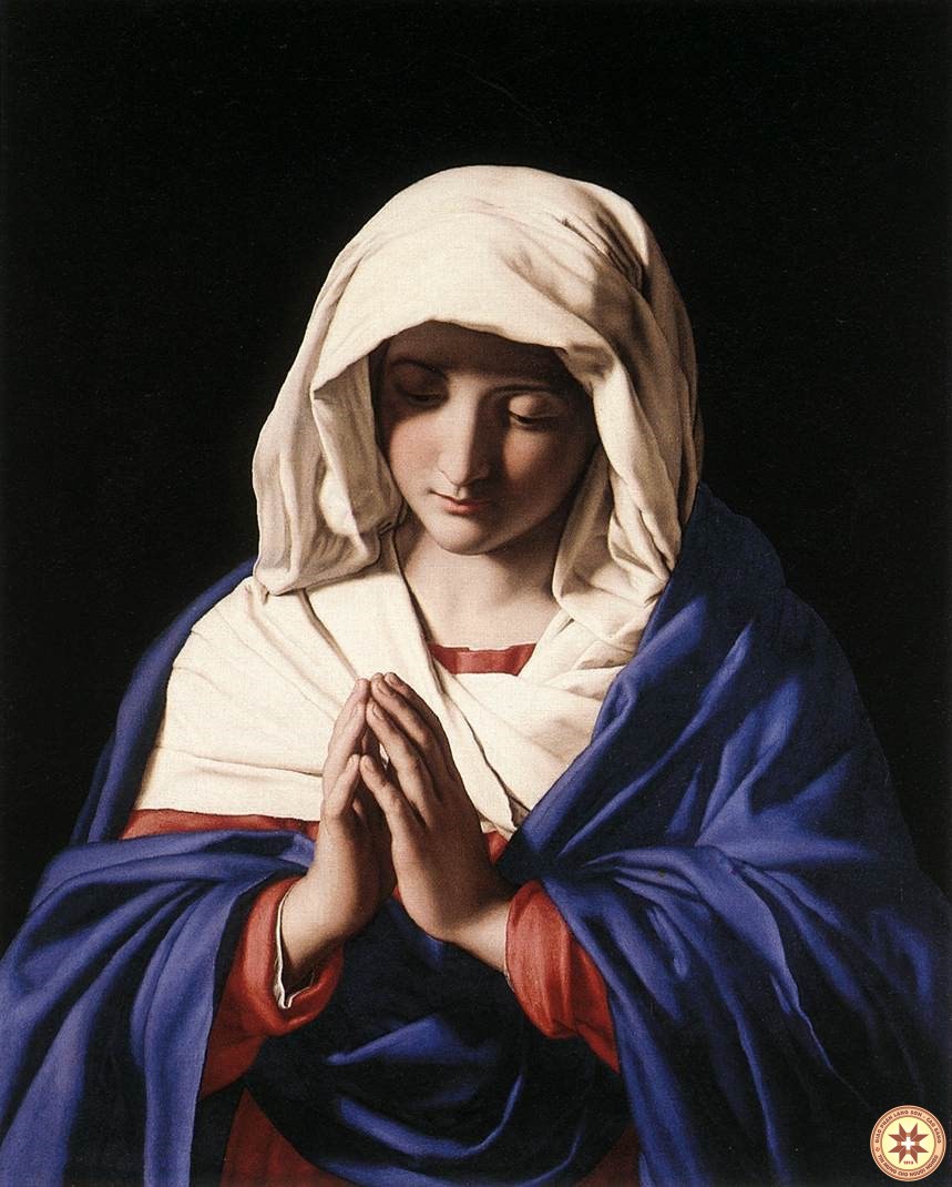 Bà sẽ sinh con trai (08.9.2020 – Thứ Ba: Sinh Nhật Đức Trinh Nữ Maria)