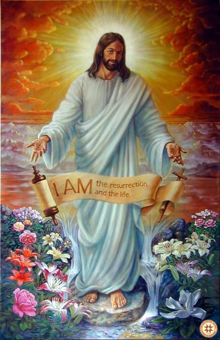 Được sinh ra từ trên (20.4.2020 – Thứ Hai Tuần 2 Phục Sinh)